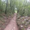 Typical trail to the Angon Waterfall