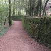 Beautiful moss-covered stone wall