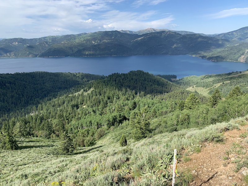 The side hill section after mile 2, with views of Palisades Reservoir. The climbing is over!