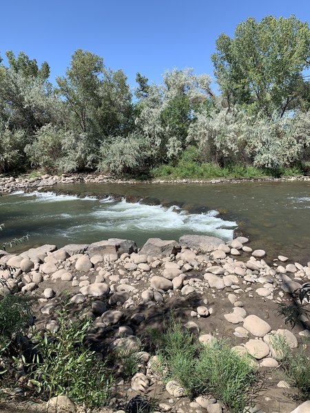 Animas river right next to trail.