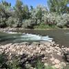 Animas river right next to trail.