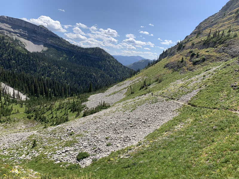 Trail 173 looking down Pentagon Drainage