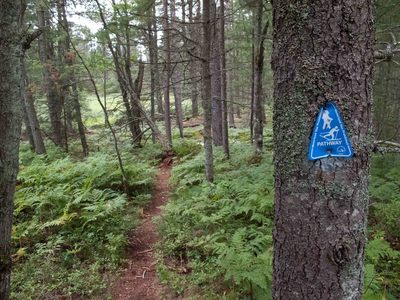 Trail Markings