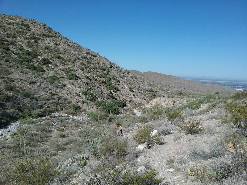 Looking NW on the trail