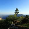 View of Oracle Ridge from Red Ridge #2 trail