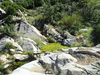 Rock pools in the lower section of the Red Ridge trail on 08/30/19