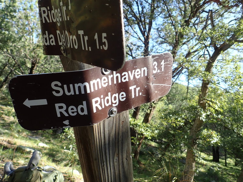 Sign marking the junction at Red Ridge #2 trail and Catalina Camp #401 trail