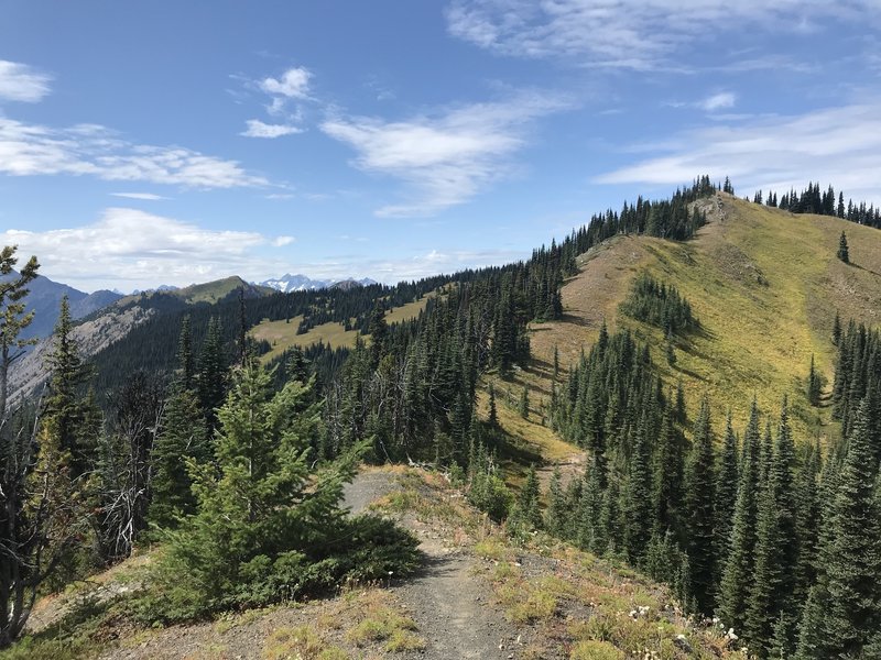 On top of ridge