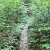 Great singletrack that crosses a normally dry creek bed multiple times as it cuts thru the valley floor.