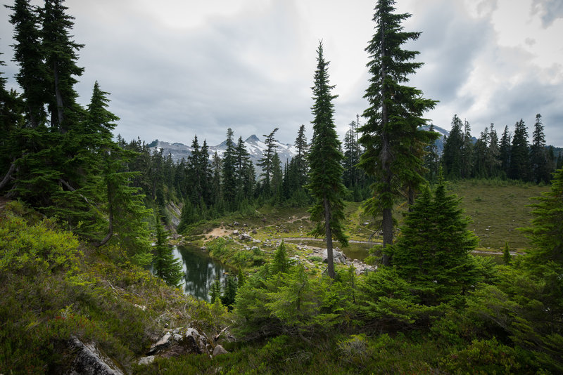 Mazama Lake peaks through the trees.