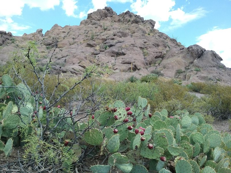 View of the Soledad Canyon area