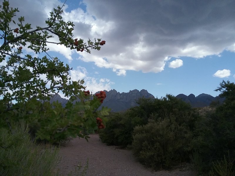 Approaching storm