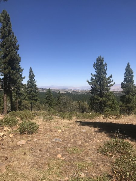 Looking back towards reno