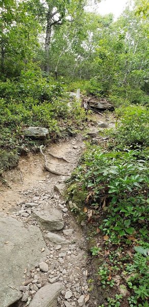 Going up a rocky trail, past Sam's Point on the way to High Point.