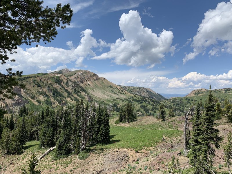 Mt. Jefferson in the background and the ridgeline you follow to get there.