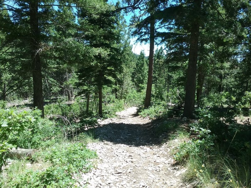 Walking west on the trail.