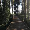 At the end of the trail is a stair climb to overlook the swamp.