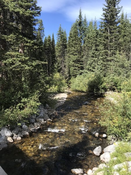 Pocaterra creek near the start of the trail