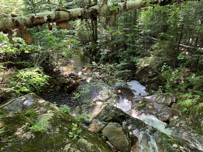 View looking down the brook on the Mt. Clinton trail.