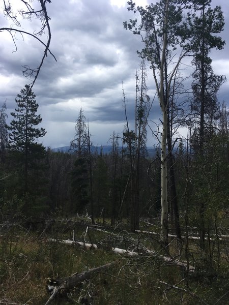 Looking southeast from trail.