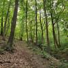 One of the steeper sections of the trail.