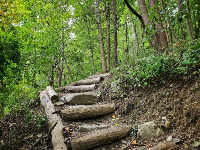 Trail stairs