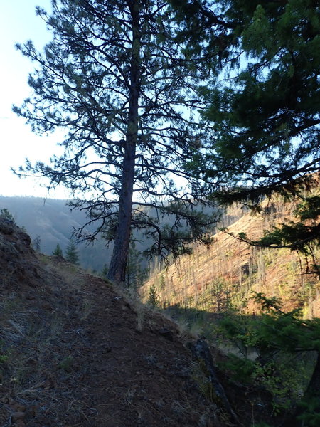 View from the switchbacks towards the end of the trail.