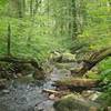 A stream along the trail.