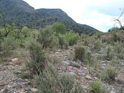 Looking east from the trail.