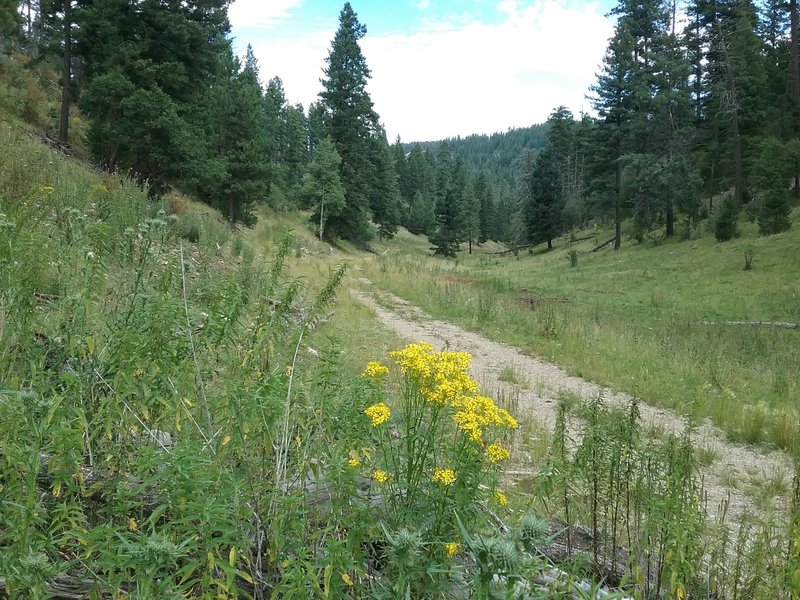 Looking northeast on the trail.