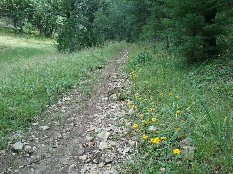 Beginning of trail.