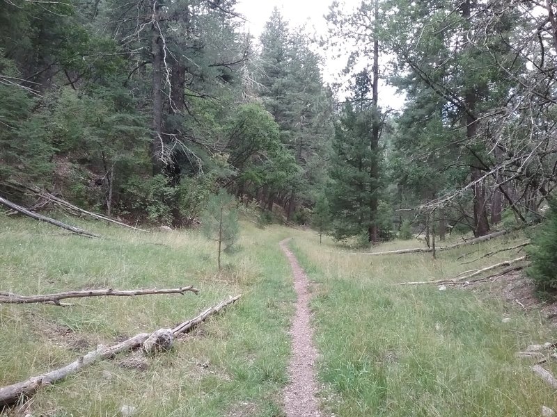 Hiking up  the trail.