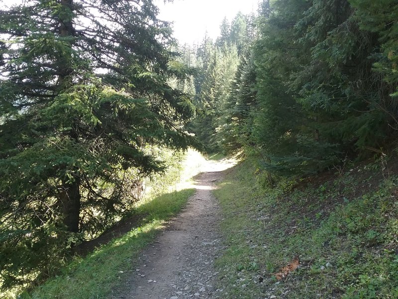 Beginning of trail.