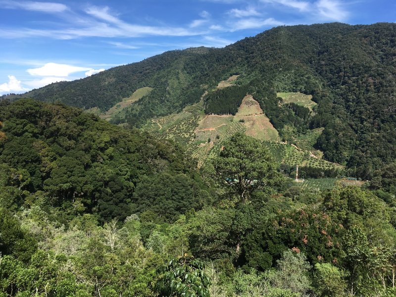 View of the valley from a nearby mirador (bonus!).