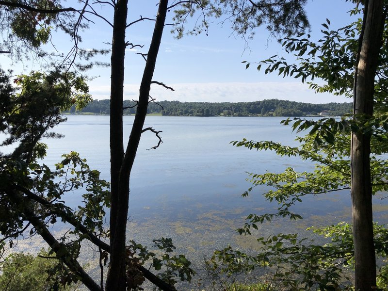 End of the trail looking across Potomac Creek.