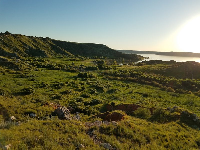 View from trail back toward lake. June 2019.