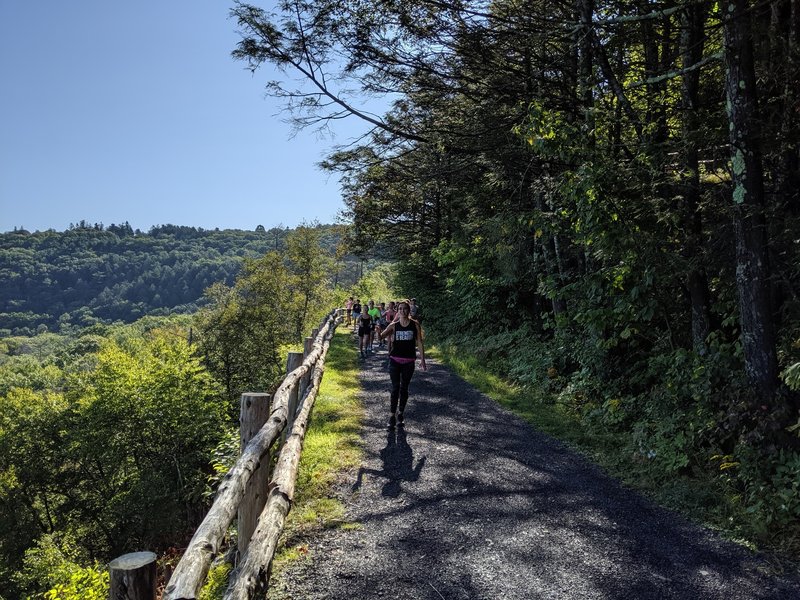 Runners on North Lookout Road.