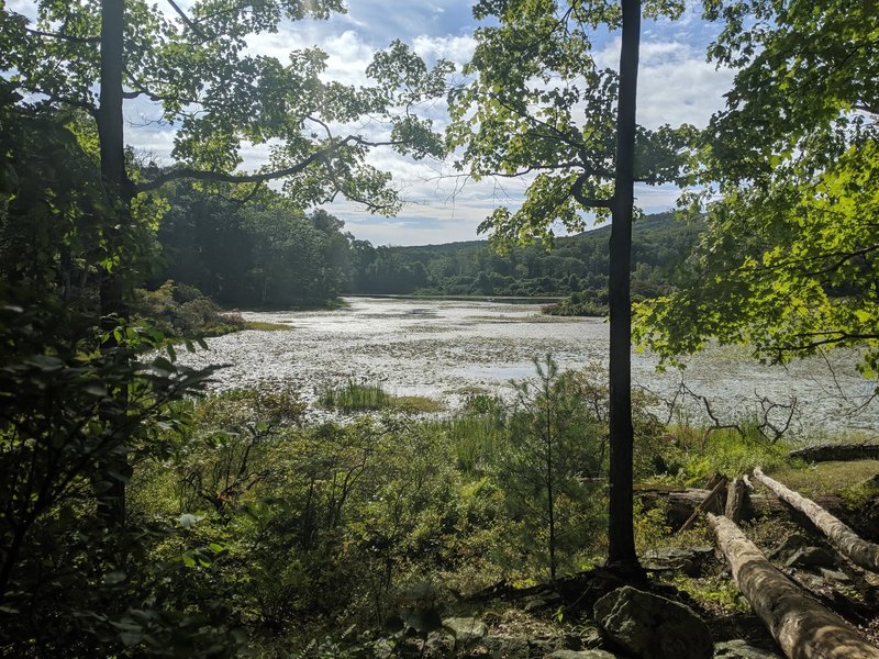 Queensboro Lake view from the Popolopen Gorge Trail.