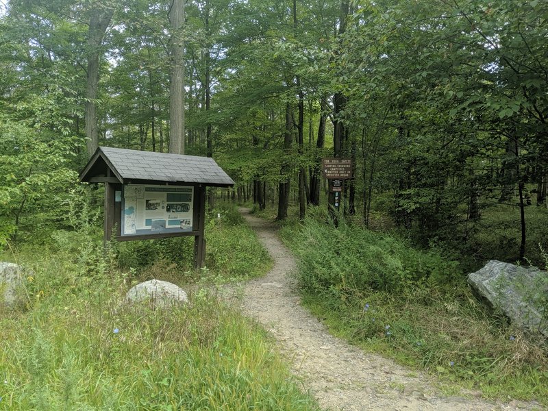 Long Path Section 7 trailhead from the asphalt parking area.