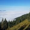 Lake Pend Oreille under a layer of morning fog.