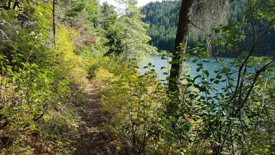 Bead Lake Spur - looking back towards intersection with Bead Lake Trail.