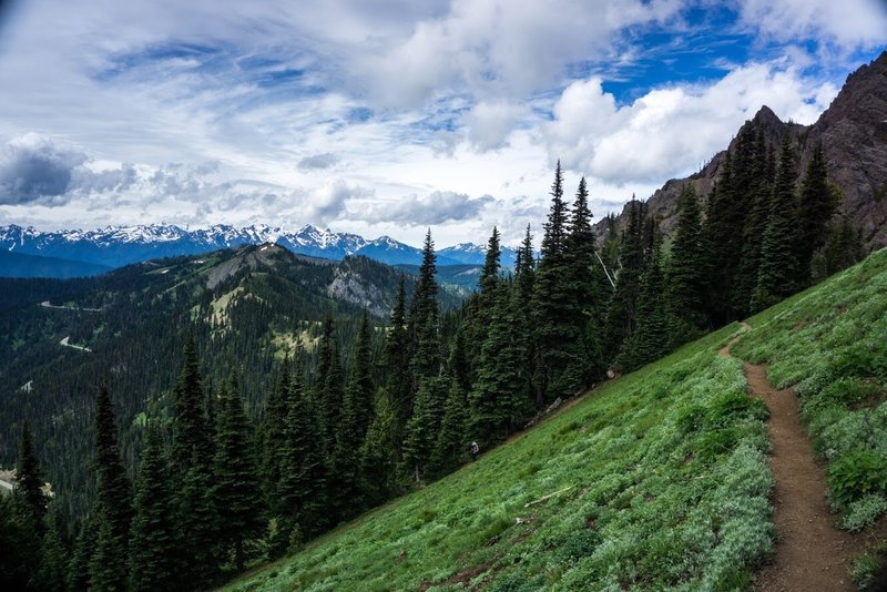 Descending from Klahhane Ridge via the Switchback Trail.