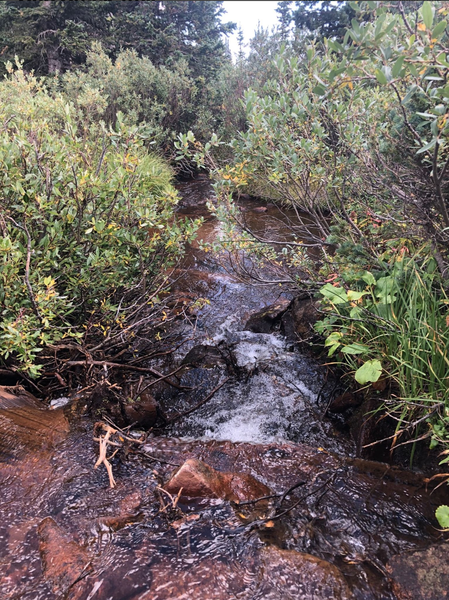 Lost Creek at mile 14.5.