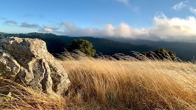 A handful of minutes off of Hickory Oaks Trail, you'll find the humble Turtle Rock. Venture here at the right time of day, and the sun will reward you with grass ablaze and gilded treetops … before the famous low clouds descend to test your rain jacket.