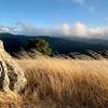 A handful of minutes off of Hickory Oaks Trail, you'll find the humble Turtle Rock. Venture here at the right time of day, and the sun will reward you with grass ablaze and gilded treetops … before the famous low clouds descend to test your rain jacket.