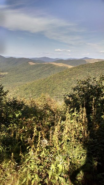 Late summer view from north-facing overlook halfway up the Summit Trail.