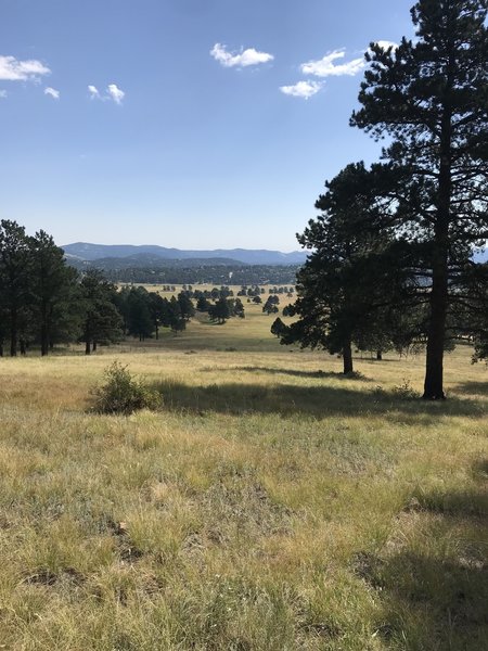 Elk Meadow Park