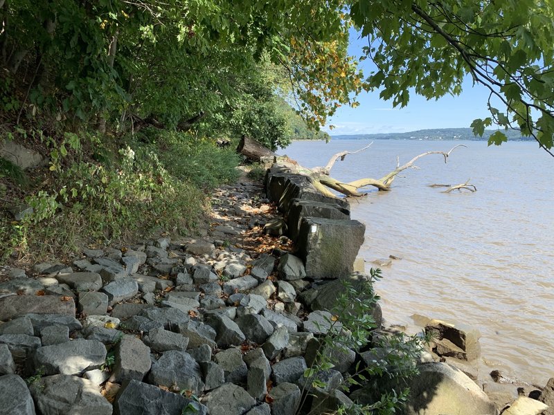 Rocky trail with fallen tree in water.