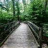 Wetlands Trail footbridge.