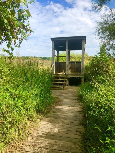 Hut marking the end of the Great Blue Heron Trail where you can look out into the marsh.